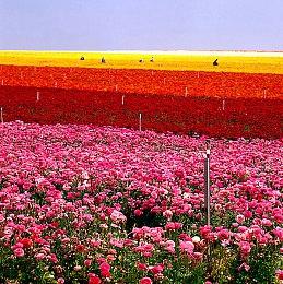 气垫船杀手！《战地2042》神枪NTW-50